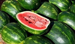 吃瓜娱乐素材下载网,吃瓜娱乐素材下载网独家爆料